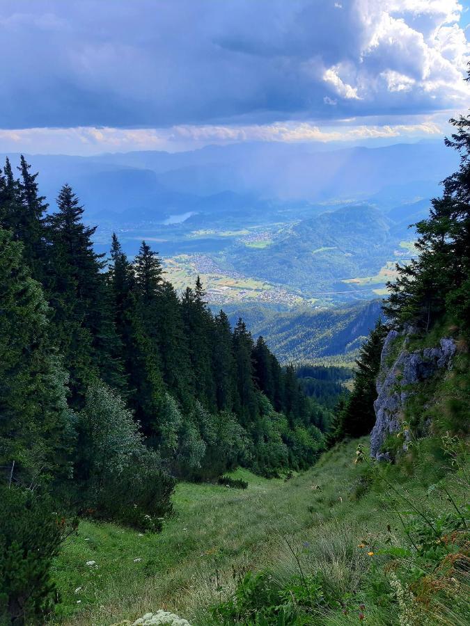 Alpine *