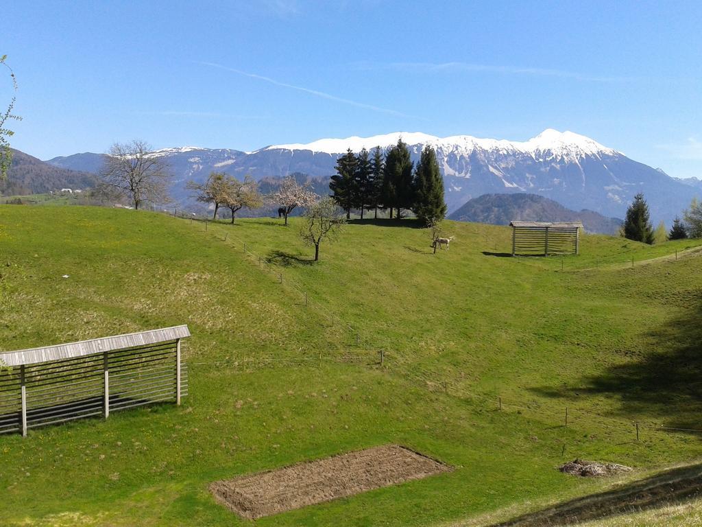 Alpine Bled
