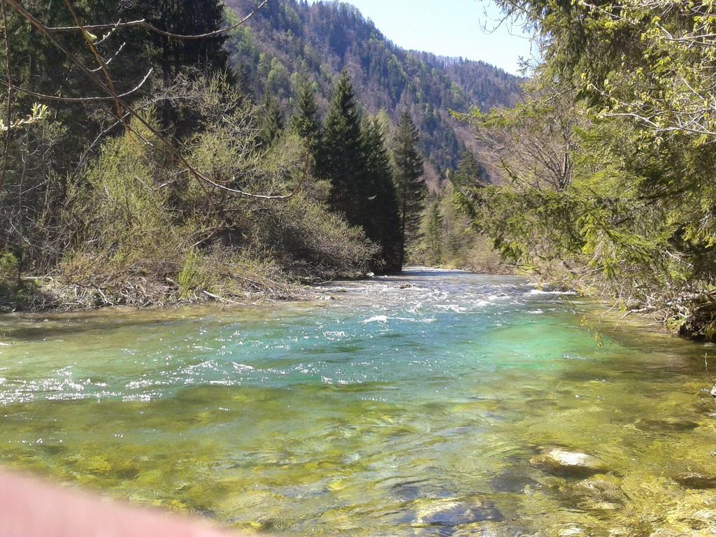 Alpine Bled