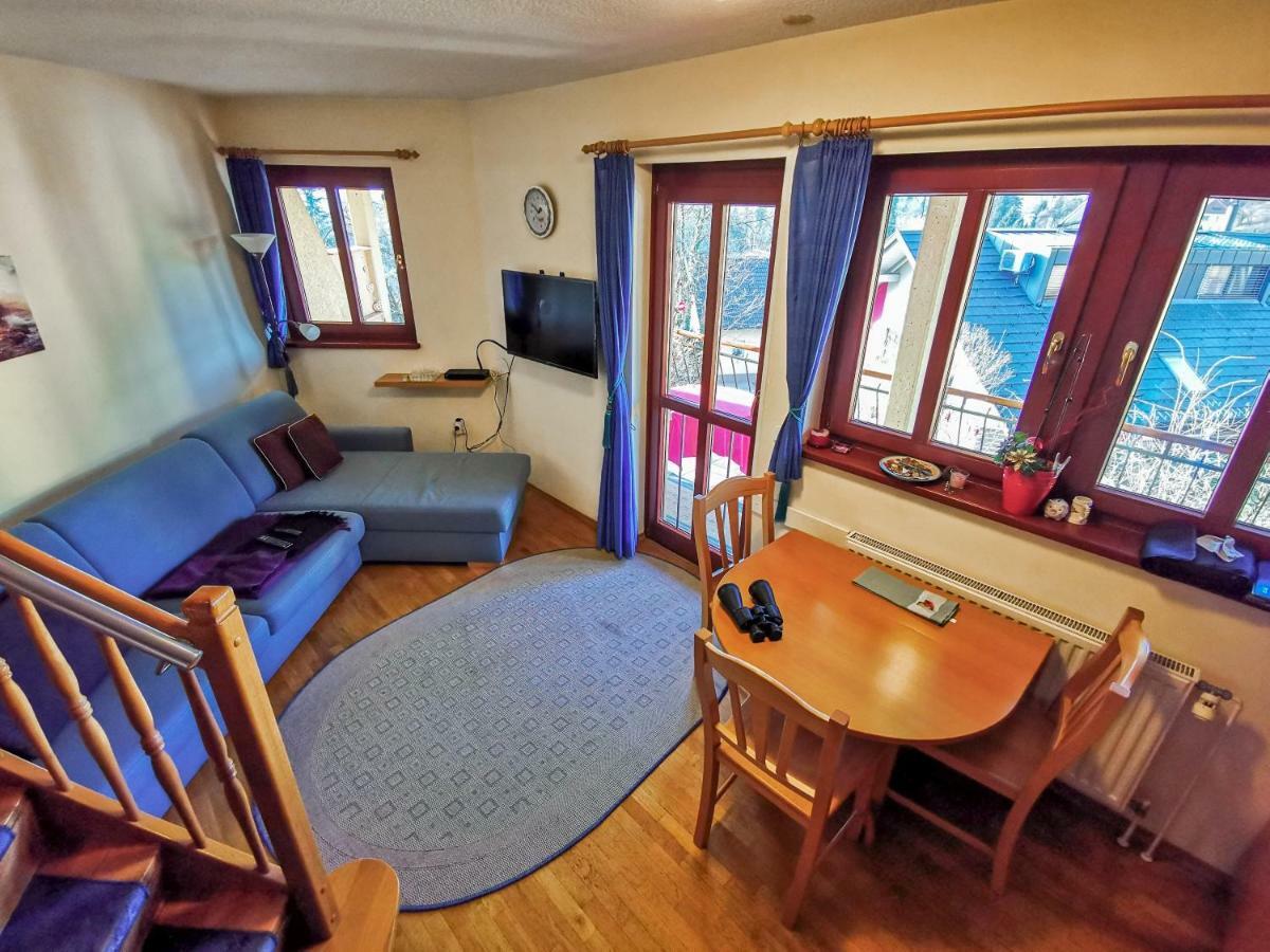 Alpine Apartment