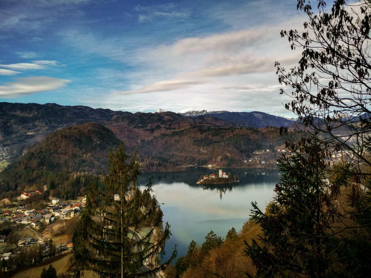 Alpine * Bled