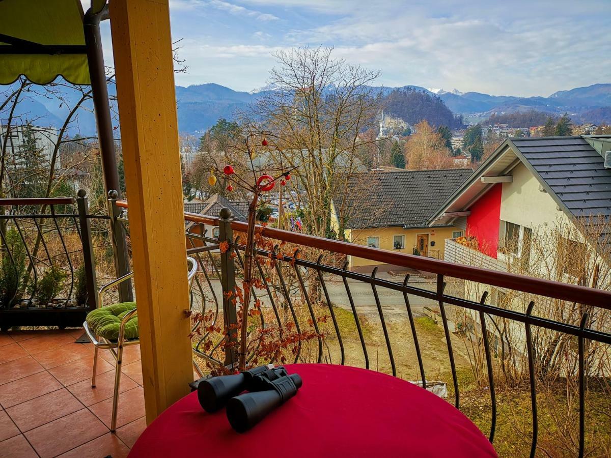 Apartment Alpine